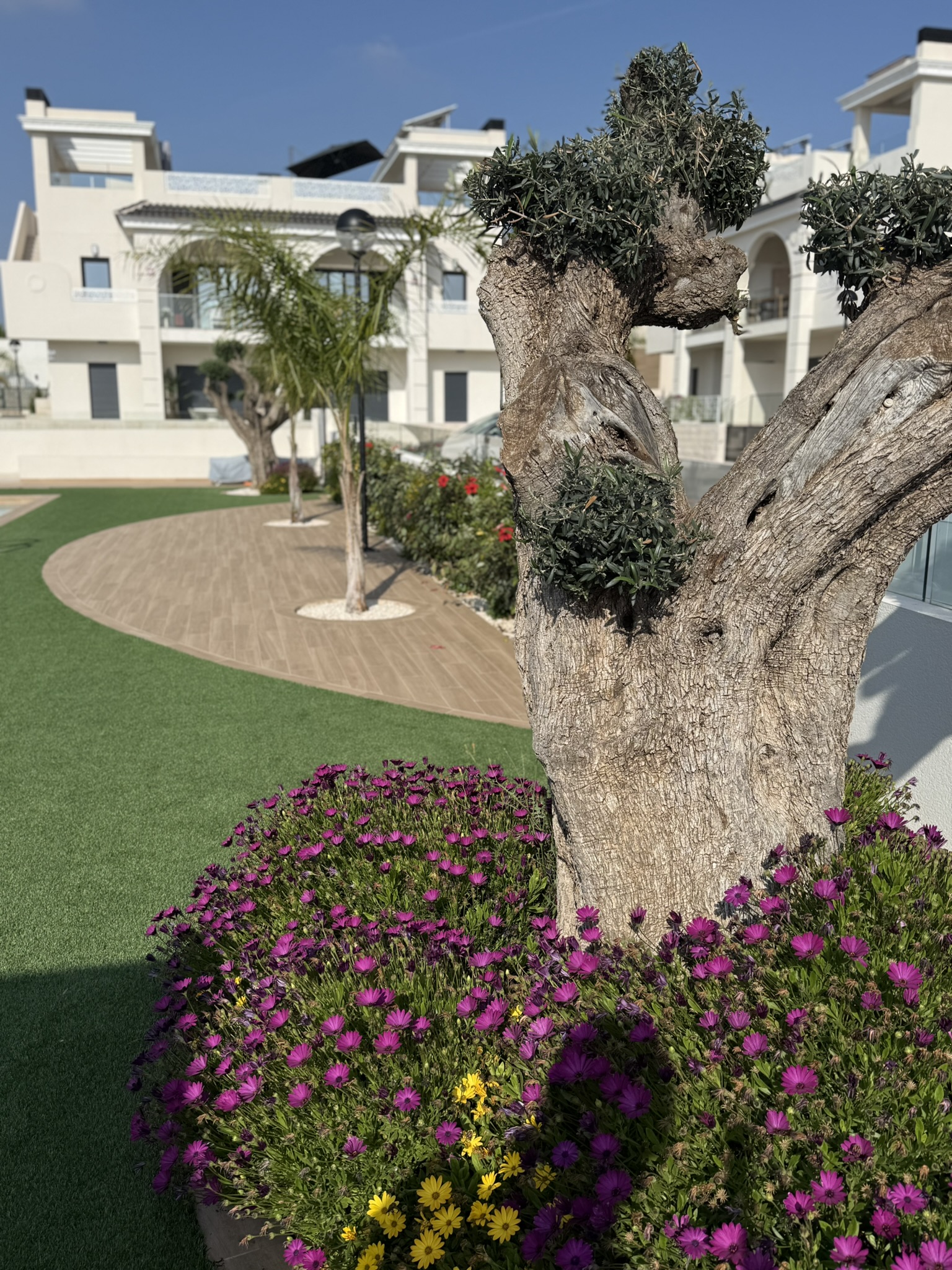 Apartments Serena Garden